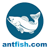 Antfish.com лого